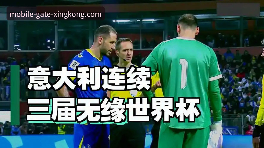 波黑点球淘汰意大利晋级世界杯，星空体育手机版下载观赛完整指南